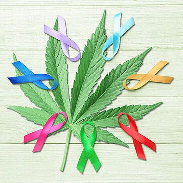 La cannabis può proteggere dal cancro alla prostata?