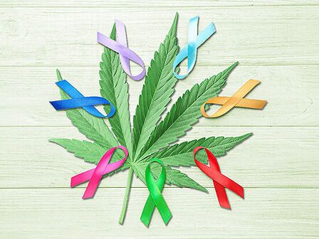La cannabis può proteggere dal cancro alla prostata?