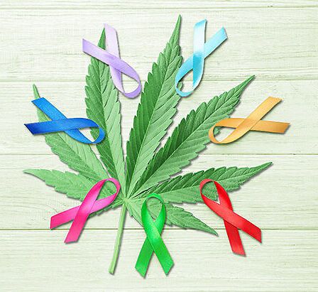 La cannabis può proteggere dal cancro alla prostata?