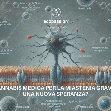 Cannabis medica per la Miastenia Gravis: una nuova speranza?