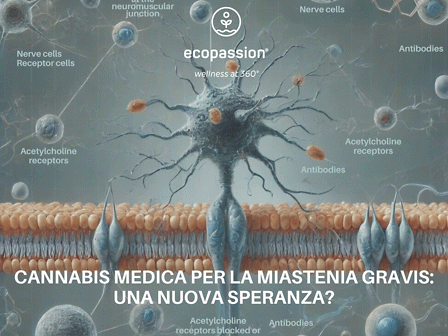 Cannabis medica per la Miastenia Gravis: una nuova speranza?