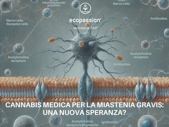 Cannabis medica per la Miastenia Gravis: una nuova speranza?