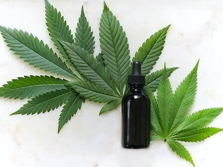 L&amp;#039;estratto di cannabis per le patologie neurodegenerative