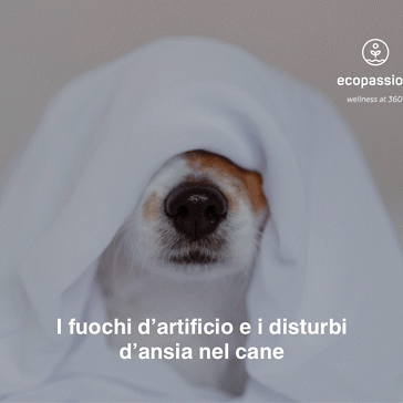 I fuochi d&amp;#039;artificio e i disturbi d&amp;#039;ansia nel cane