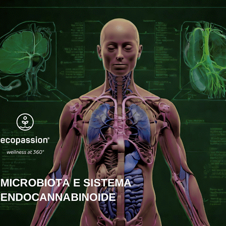 Microbiota e Sistema Endocannabinoide