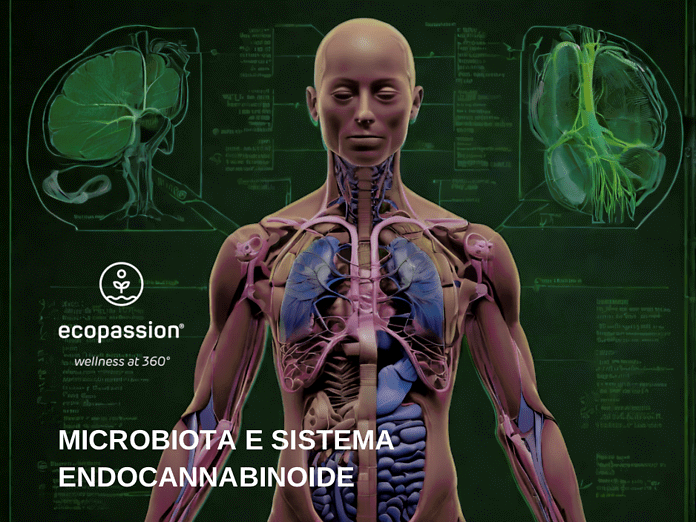 Microbiota e Sistema Endocannabinoide