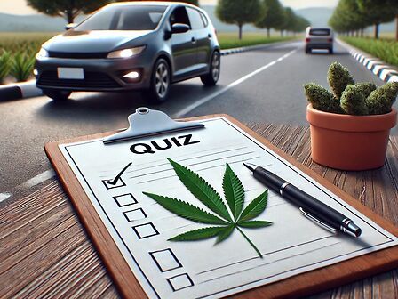 Cannabis e guida: il quiz per aiutare i pazienti