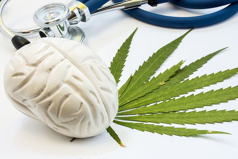 Marijuana e cervello, quali gli effetti a lungo termine?